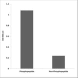 ELISA - Anti-CDC2 (phospho Thr161) Antibody (P12-1090) - Antibodies.com