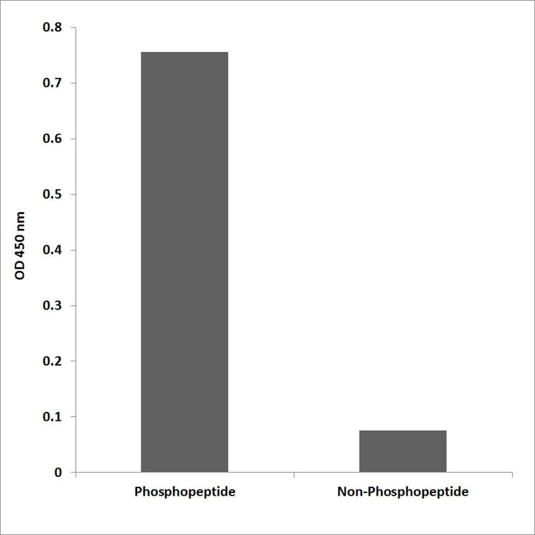 ELISA - Anti-PKC theta (phospho Ser695) Antibody (P12-1166) - Antibodies.com