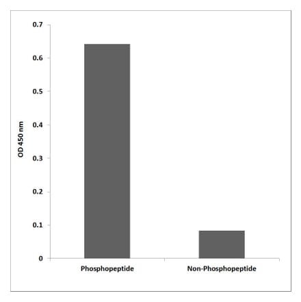 ELISA - Anti-p130 Cas (phospho Tyr410) Antibody (P12-1039) - Antibodies.com