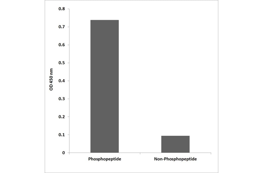ELISA - Anti-PDGFR beta (phospho Tyr740) Antibody (P12-1162) - Antibodies.com