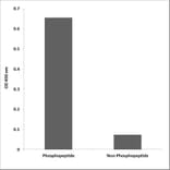 ELISA - Anti-ATF1 (phospho Ser63) Antibody (P12-1077) - Antibodies.com