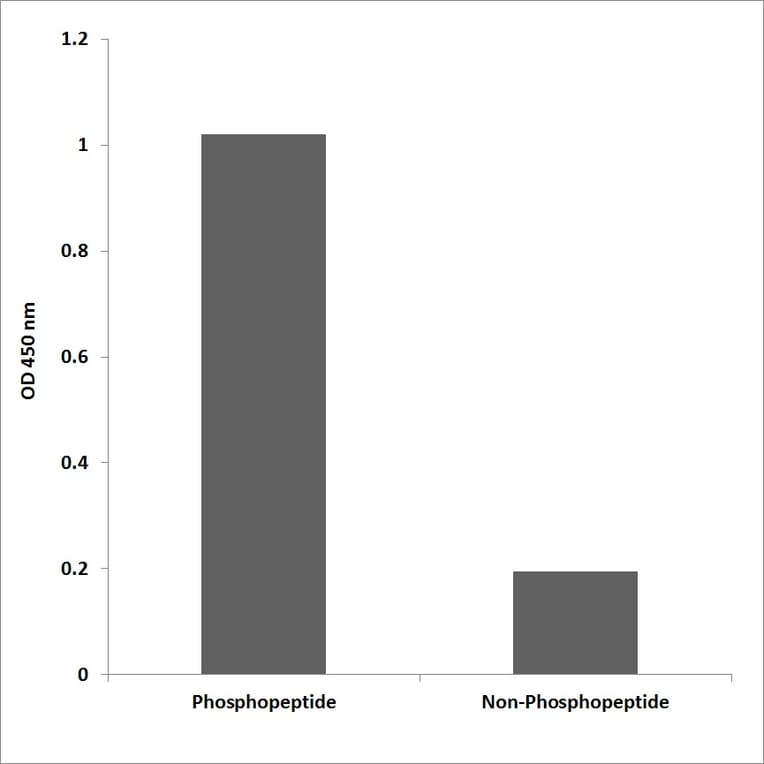 ELISA - Anti-p130 Cas (phospho Tyr128) Antibody (P12-1038) - Antibodies.com
