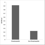 ELISA - Anti-BCL2 (phospho Ser70) Antibody (P12-1079) - Antibodies.com