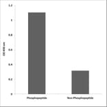 ELISA - Anti-Vimentin (phospho Tyr61) Antibody (P12-1067) - Antibodies.com