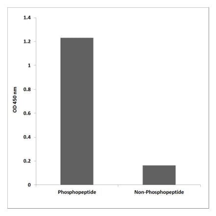 ELISA - Anti-BRCA1 (phospho Ser1457) Antibody (P12-1082) - Antibodies.com