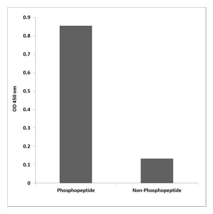 ELISA - Anti-PTP1B (phospho Ser352) Antibody (P12-1052) - Antibodies.com