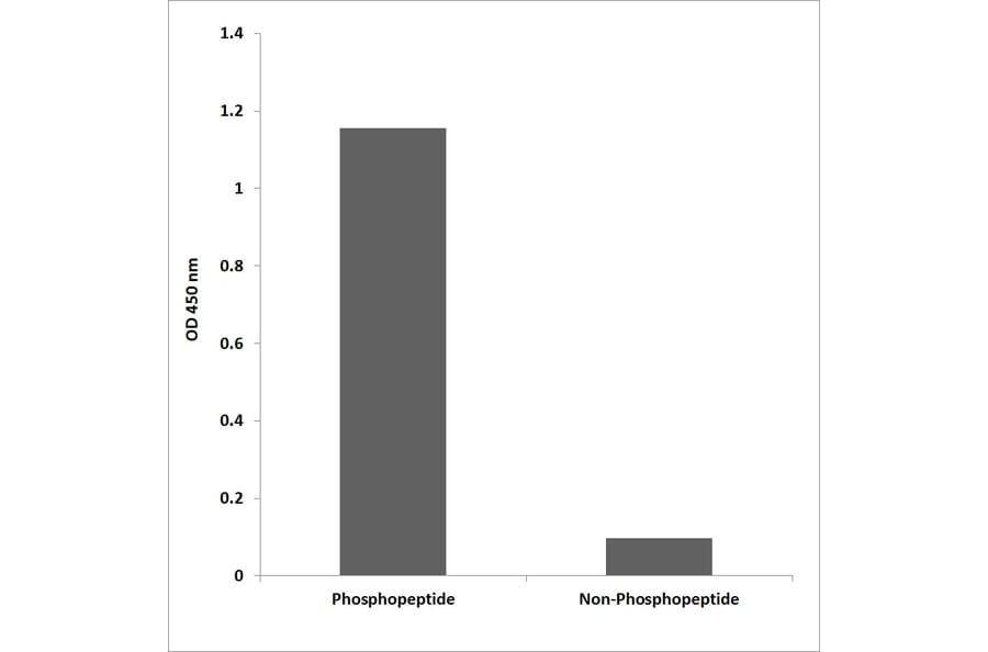 ELISA - Anti-IRF-3 (phospho Ser386) Antibody (P12-1123) - Antibodies.com
