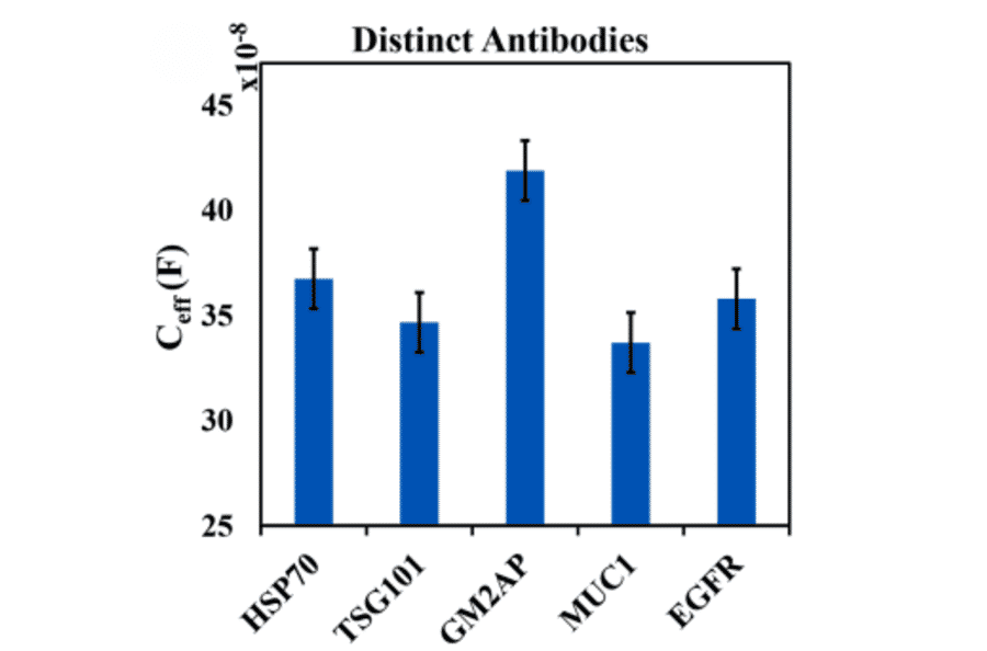 ELISA - Anti-EGFR Antibody (A96210) - Antibodies.com Citation