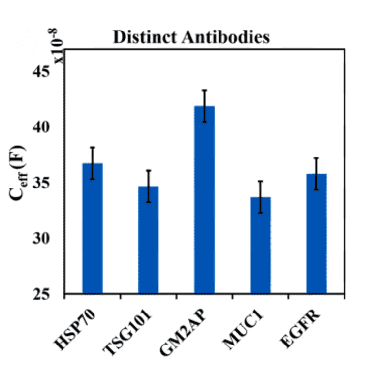 ELISA - Anti-EGFR Antibody (A96210) - Antibodies.com Citation