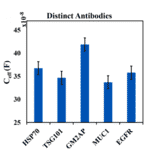 ELISA - Anti-EGFR Antibody (A96210) - Antibodies.com Citation