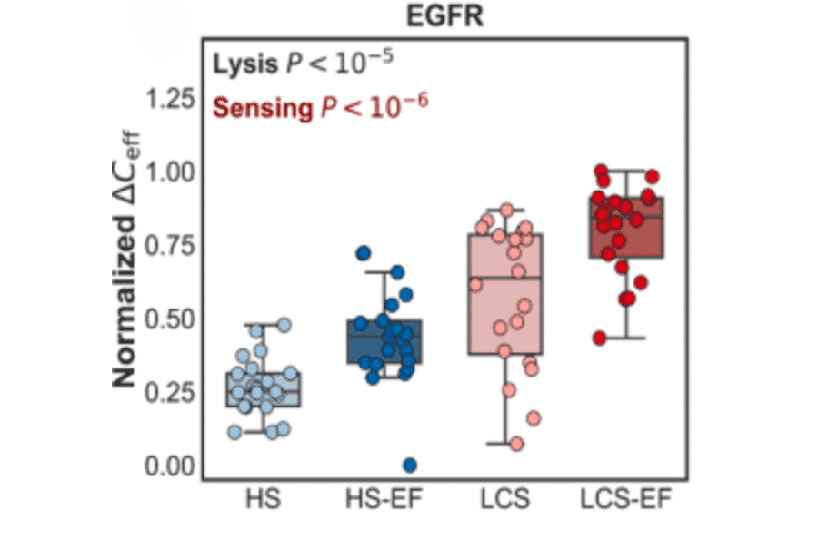 ELISA - Anti-EGFR Antibody (A96210) - Antibodies.com Citation