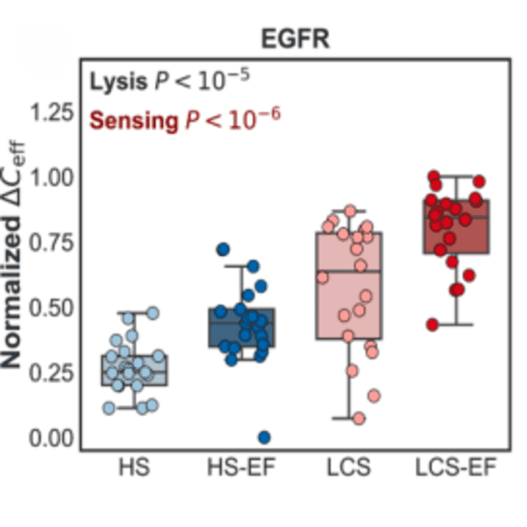 ELISA - Anti-EGFR Antibody (A96210) - Antibodies.com Citation