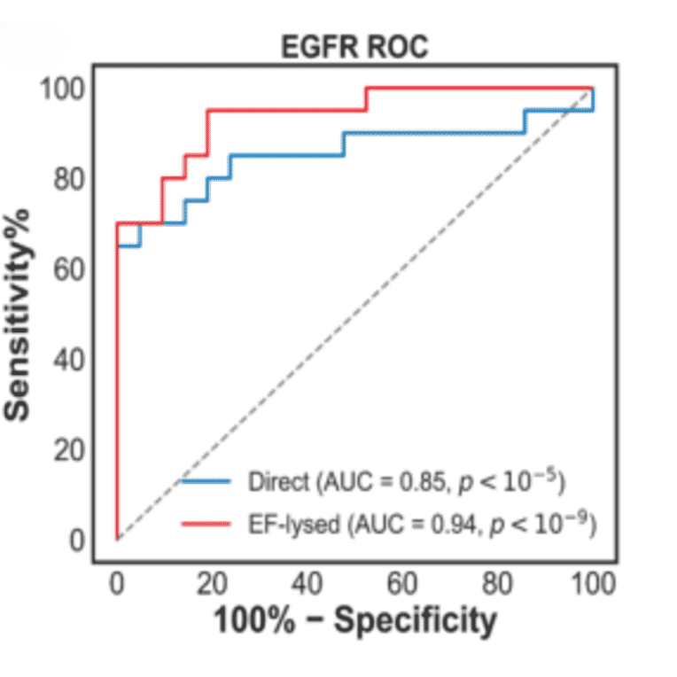 ELISA - Anti-EGFR Antibody (A96210) - Antibodies.com Citation