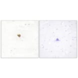 Immunohistochemistry - Anti-JAKMIP2 Antibody (C11472) - Antibodies.com