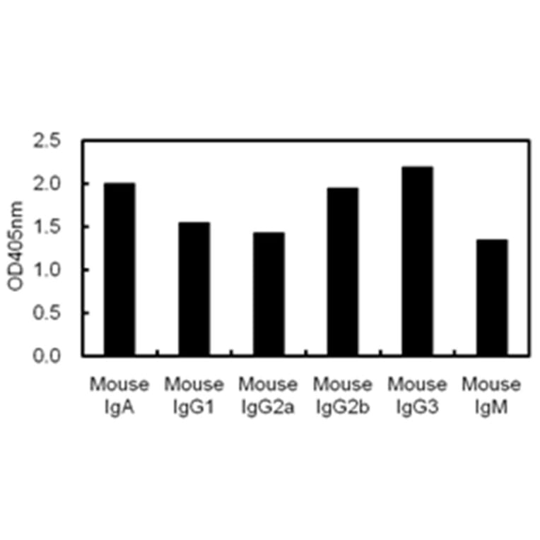 Anti-Ig Kappa Light Antibody (116111C10) [KT128] (A164)