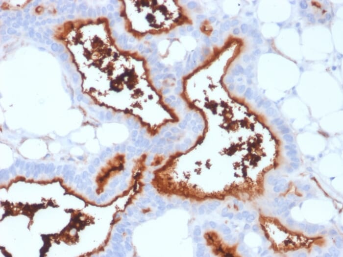 cd4973