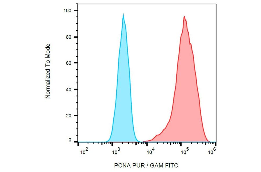 Anti Pcna Antibody Pc10 A86878 Antibodies Com