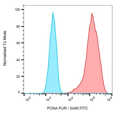 Anti Pcna Antikorper A86878 Antibodies Com