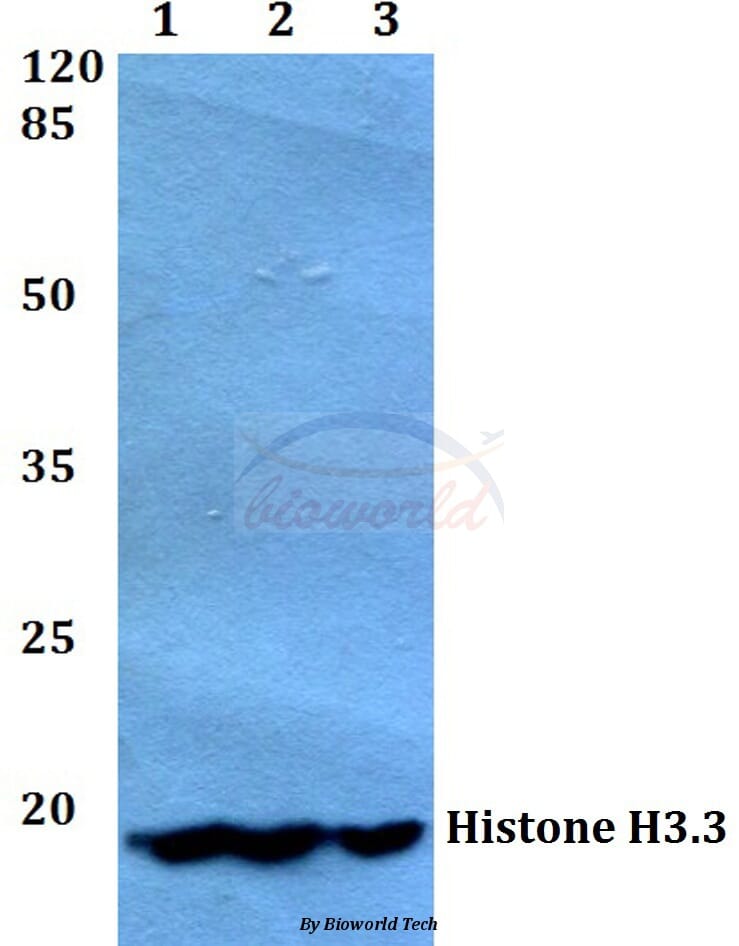 b37257