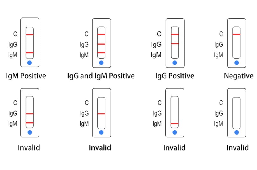 Covid 19 Rapid Test Kit Igg Igm Colloidal Gold A122152