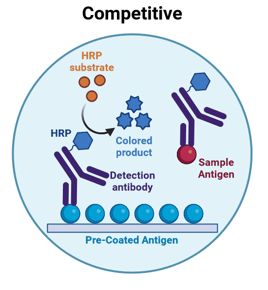 Competitive ELISA
