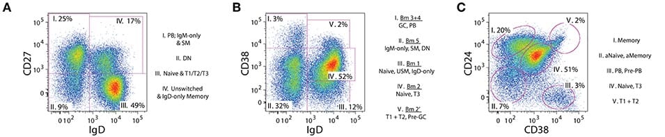 Widely used flow cytometry gating strategies to isolate B cell subsets.