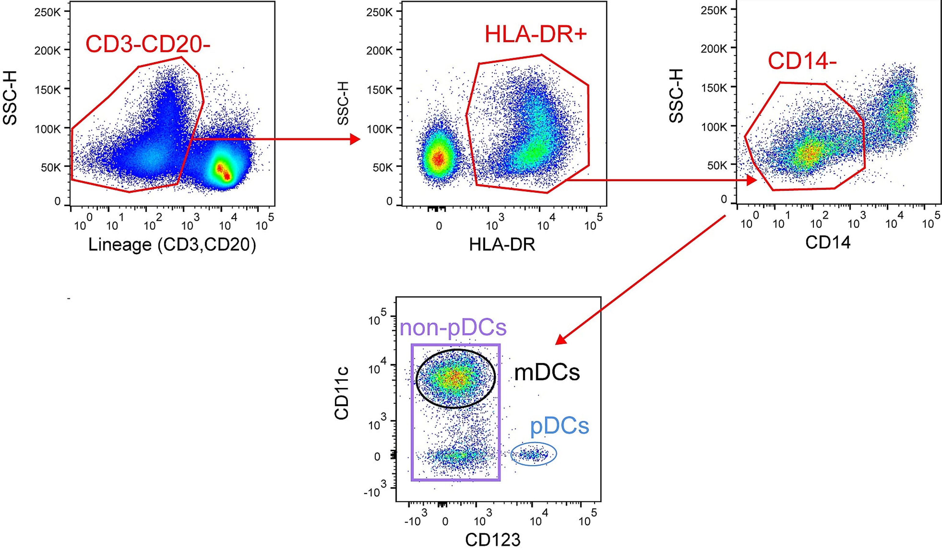 Flow cytometry gating strategy for pDCs from live lymphocytes