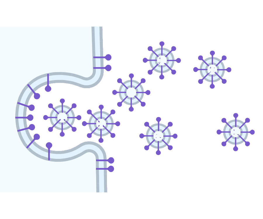 Exosome Products Graphic - Antibodies.com