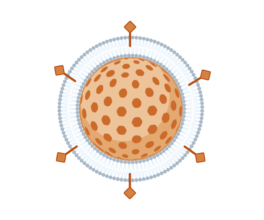 Membrane Nanoparticles (MNPs) Graphic - Antibodies.com