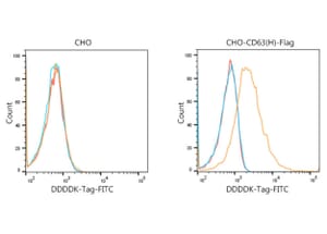 Flow Cytometry - Goat Anti-Mouse IgG H&L Antibody (FITC) (A17350) - Antibodies.com