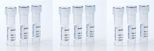 Trial Size Antibodies - Antibodies.com