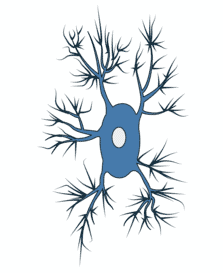 Microglia Graphic - Antibodies.com
