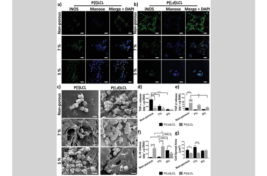 Publication Image