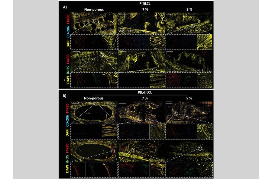 Publication Image