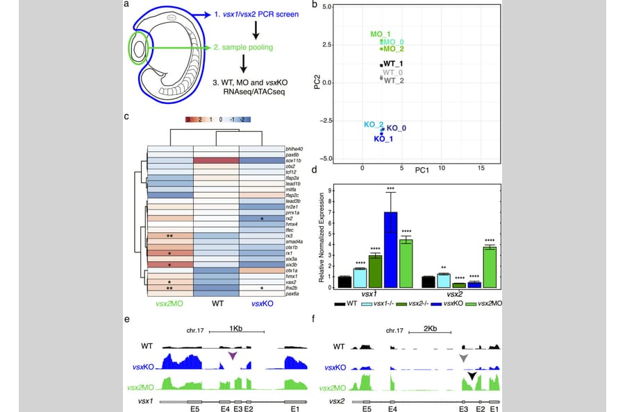 Publication Image