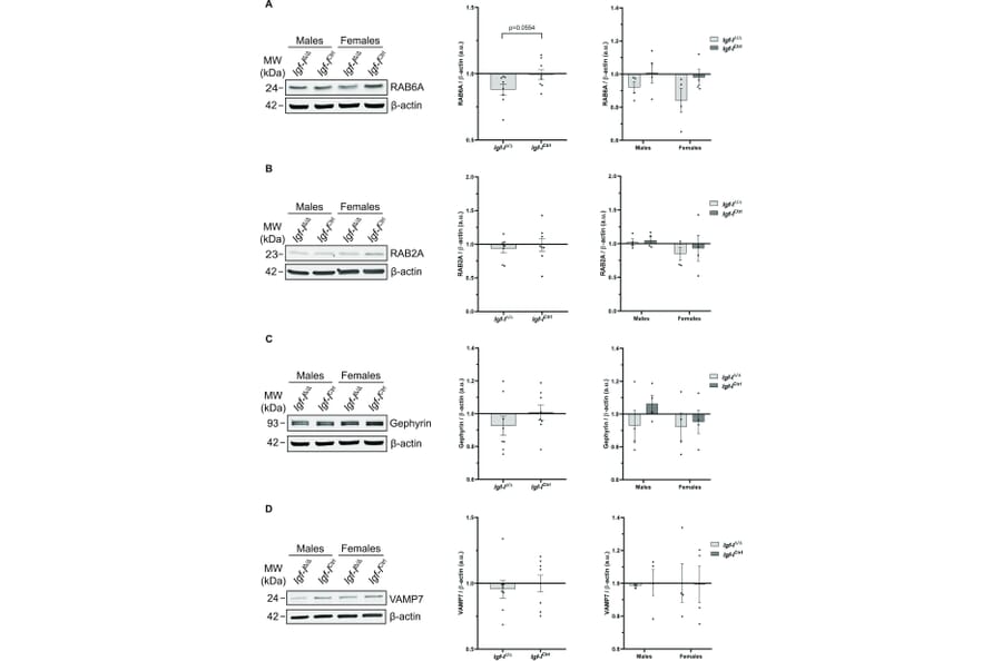 Publication Image