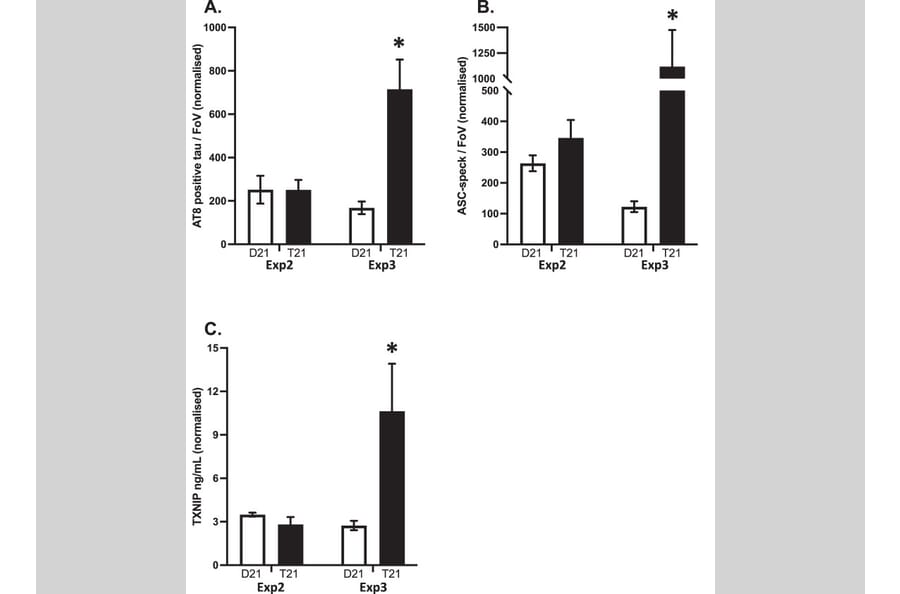 Publication Image