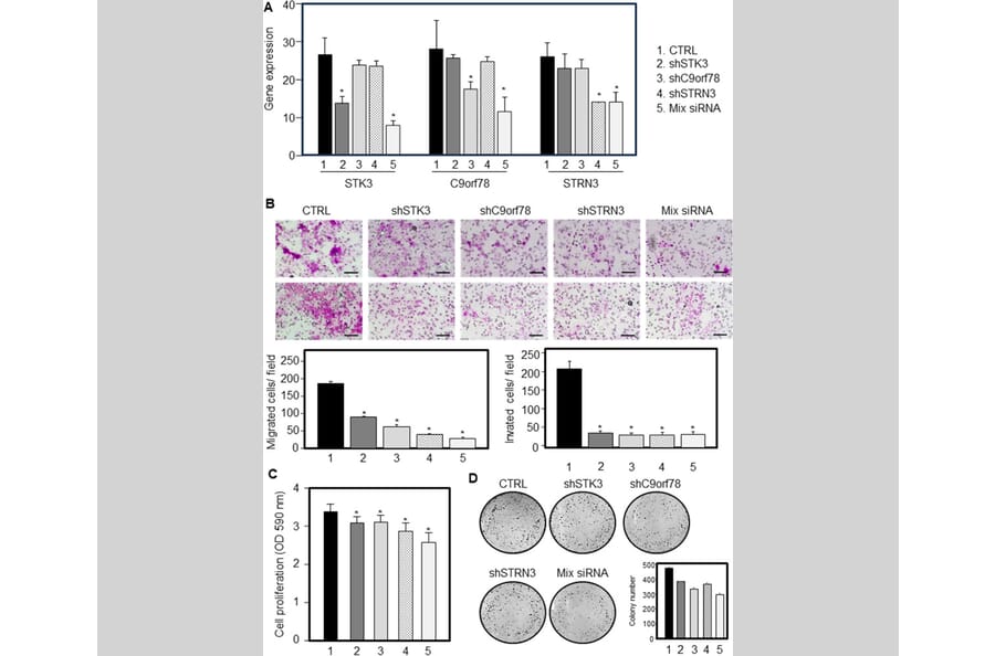 Publication Image