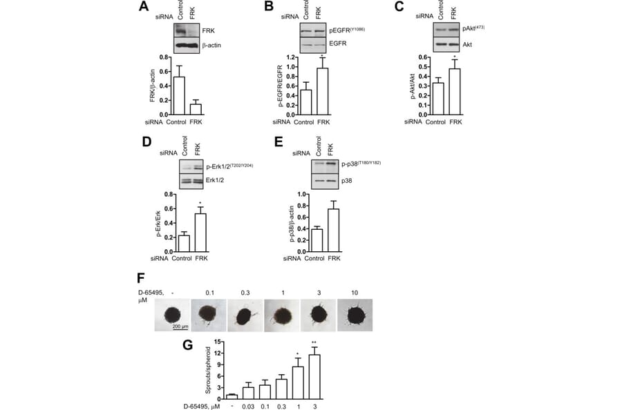 Publication Image