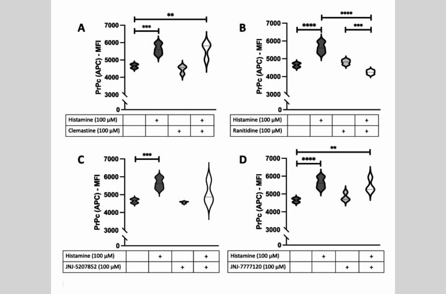 Publication Image