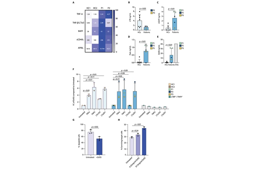 Publication Image