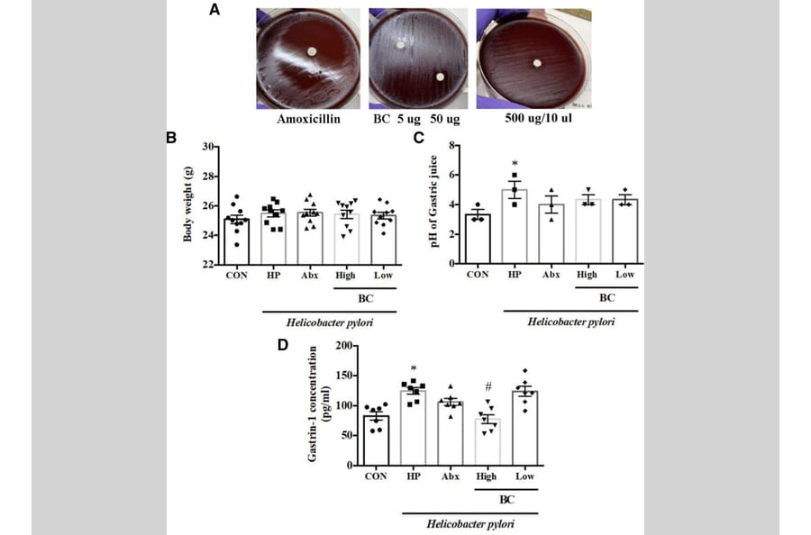 Publication Image