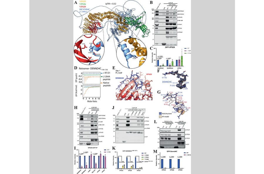 Publication Image