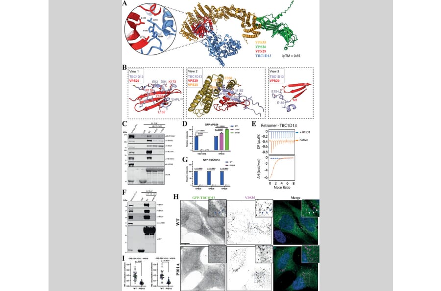 Publication Image