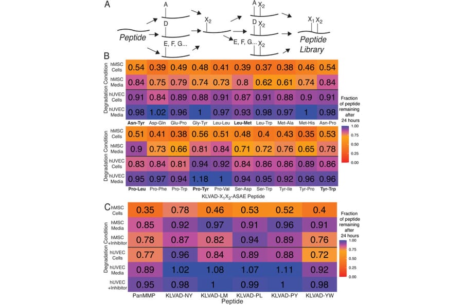 Publication Image