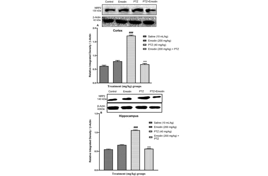 Publication Image