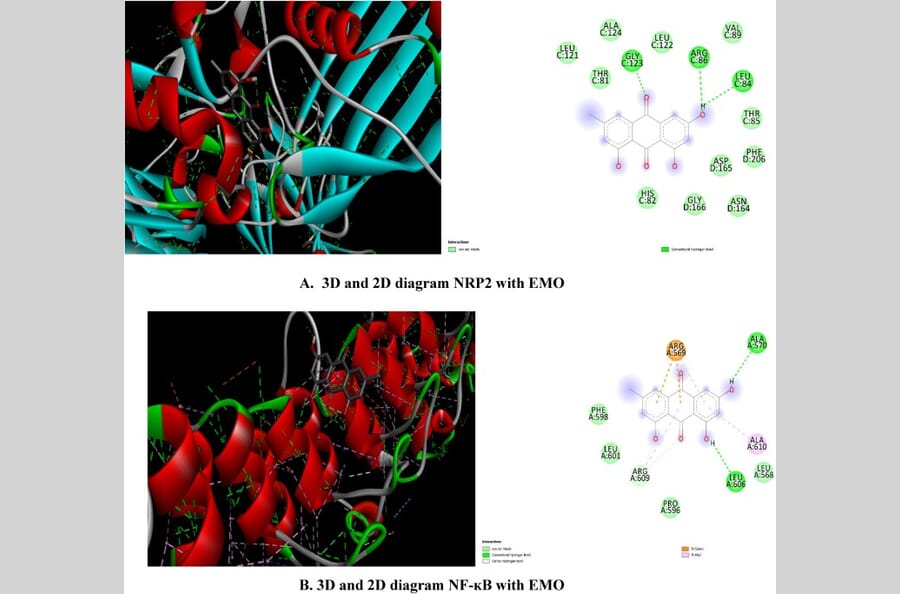 Publication Image
