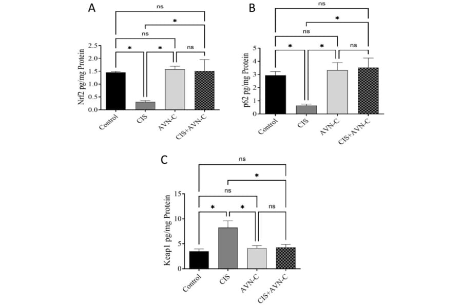 Publication Image