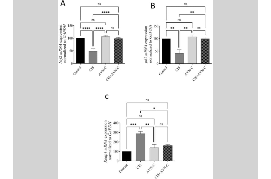 Publication Image