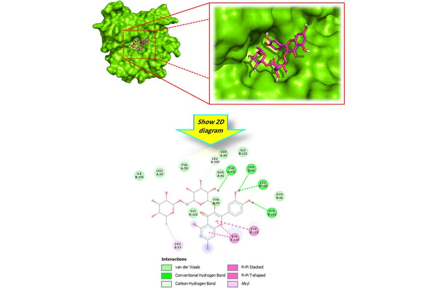 Publication Image